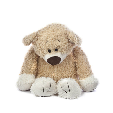 悲傷和孤獨(dú)的Teddy Bear