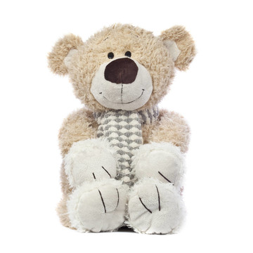 快樂的Teddy Bear