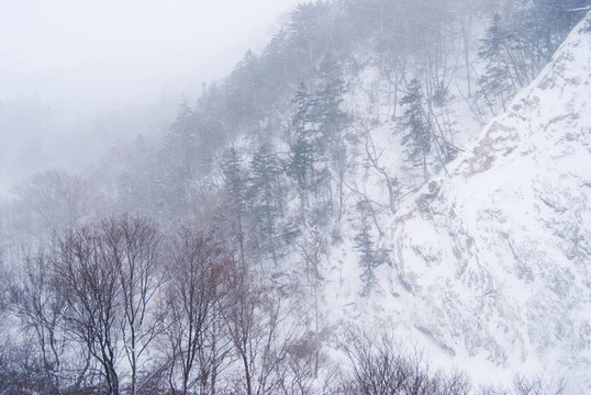 山下的雪