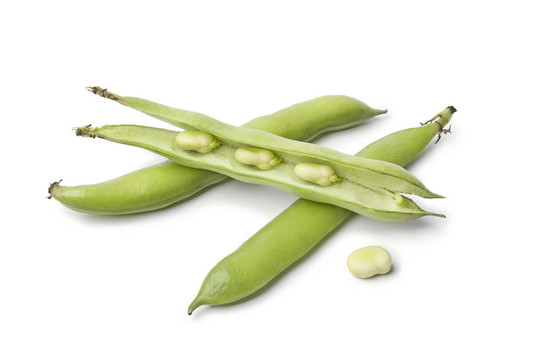 鮮蠶豆莢