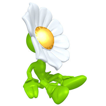 迷你金男花