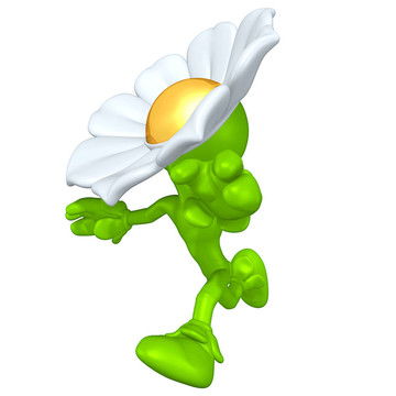 迷你金男花