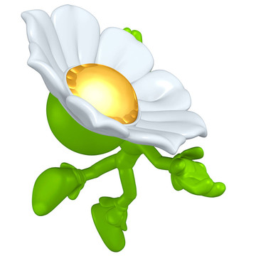 迷你金男花