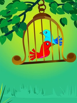 鳥