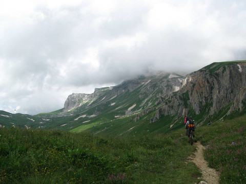 山