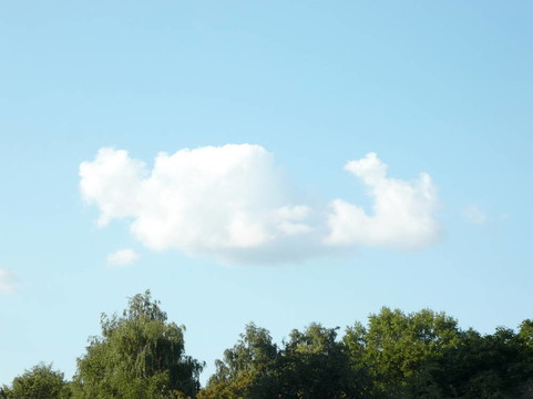 天空和樹在白天