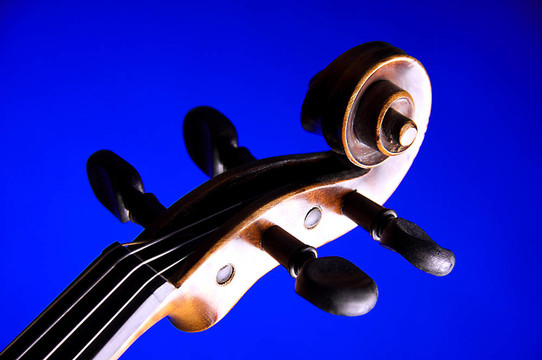 Violin Viola渦旋分離藍(lán)色