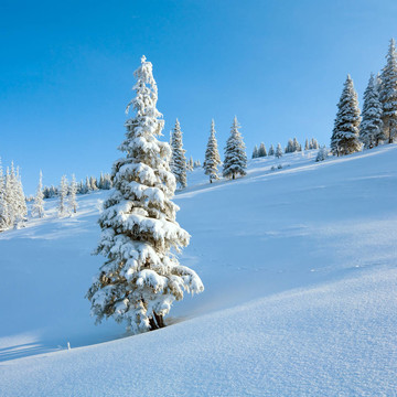 雪景