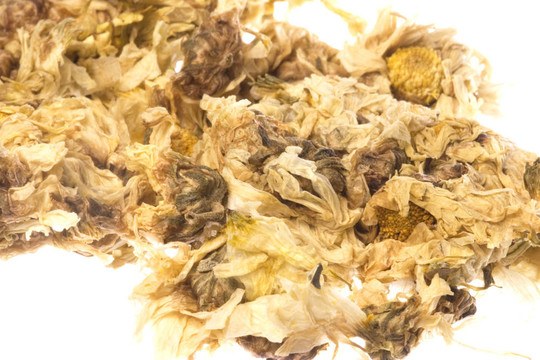 菊花茶花分離