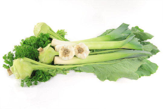 香菜；大蒜；韭菜和Kohlrabi。