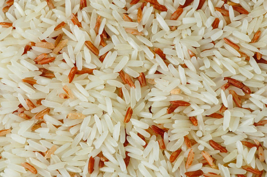 泰國紅Jasmine Organic Rice
