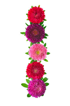 花的字母