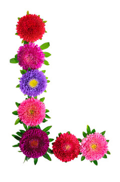 花的字母
