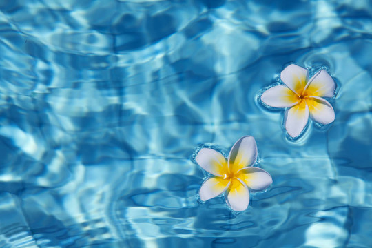 花在水