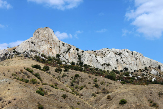 山