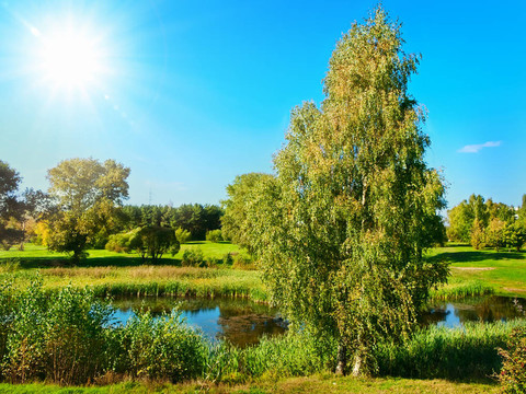 夏天的風(fēng)景