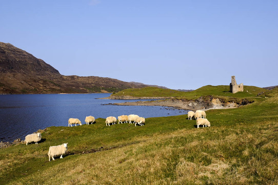 Loch Assynt