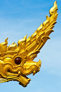 Naga的臉（側視圖）