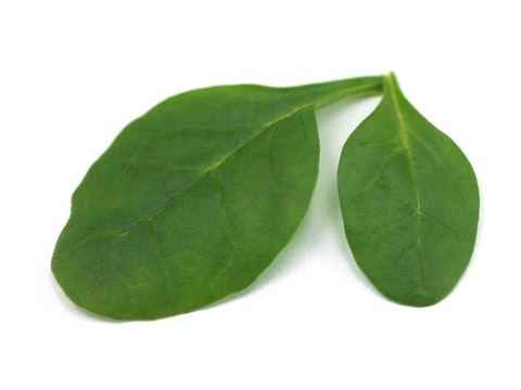 菠菜