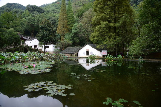 小山村