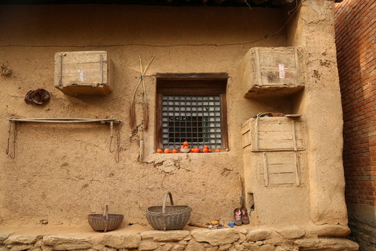 農(nóng)家土蜂