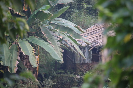 森林小屋