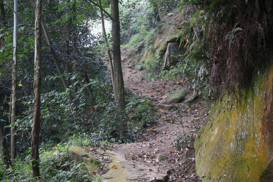 上山