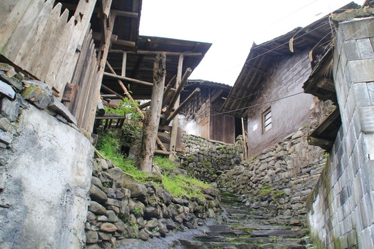 鳳凰