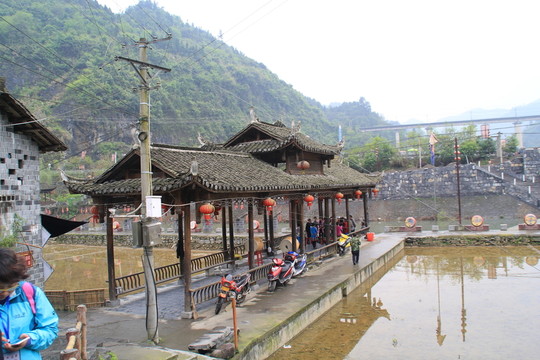 鳳凰