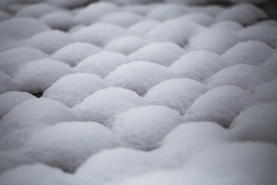 雪饅頭