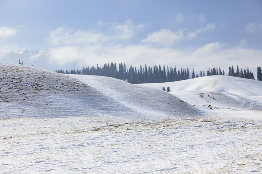 雪原