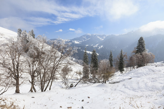 雪山