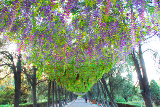 開封禹王臺公園