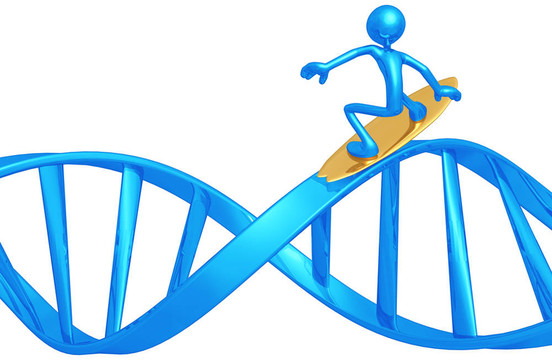沖浪的DNA