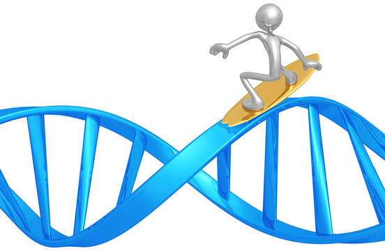 沖浪的DNA