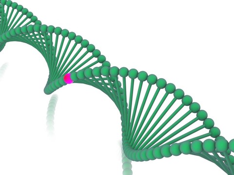 基因在DNA