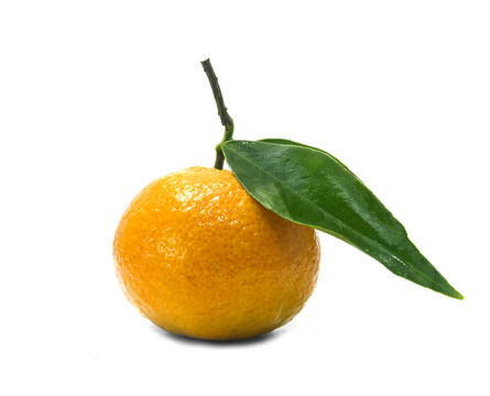 Tangerine夜店