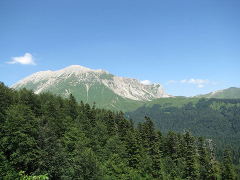 主要高加索山脊