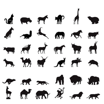 動物剪影
