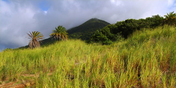 圣基茨島山liamuiga