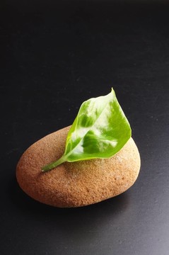 禪石