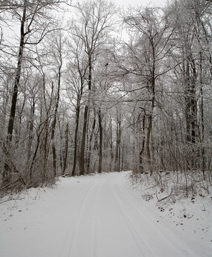 積雪的路上