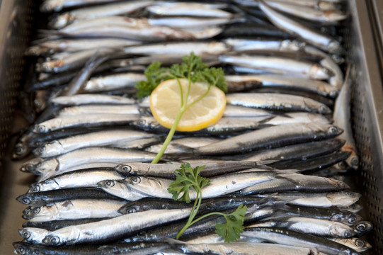 魚