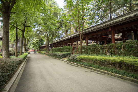 綠蔭大道