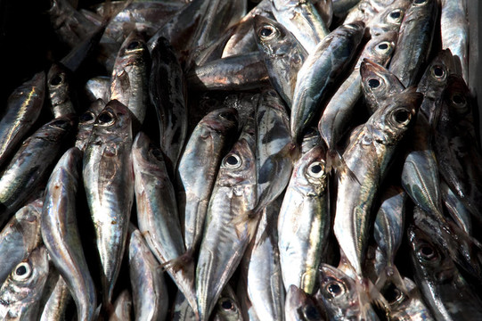 魚市場