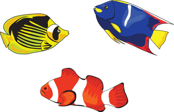 熱帶魚