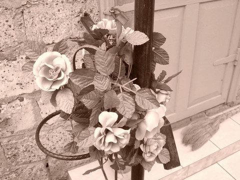 一束玫瑰；flowerses；標本；