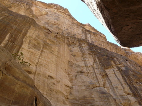 從SIQ的tresury；Petra；約旦