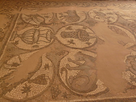 從SIQ的tresury；Petra；約旦
