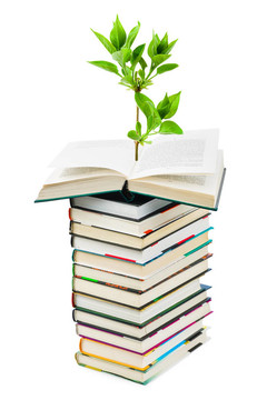 書籍和植物